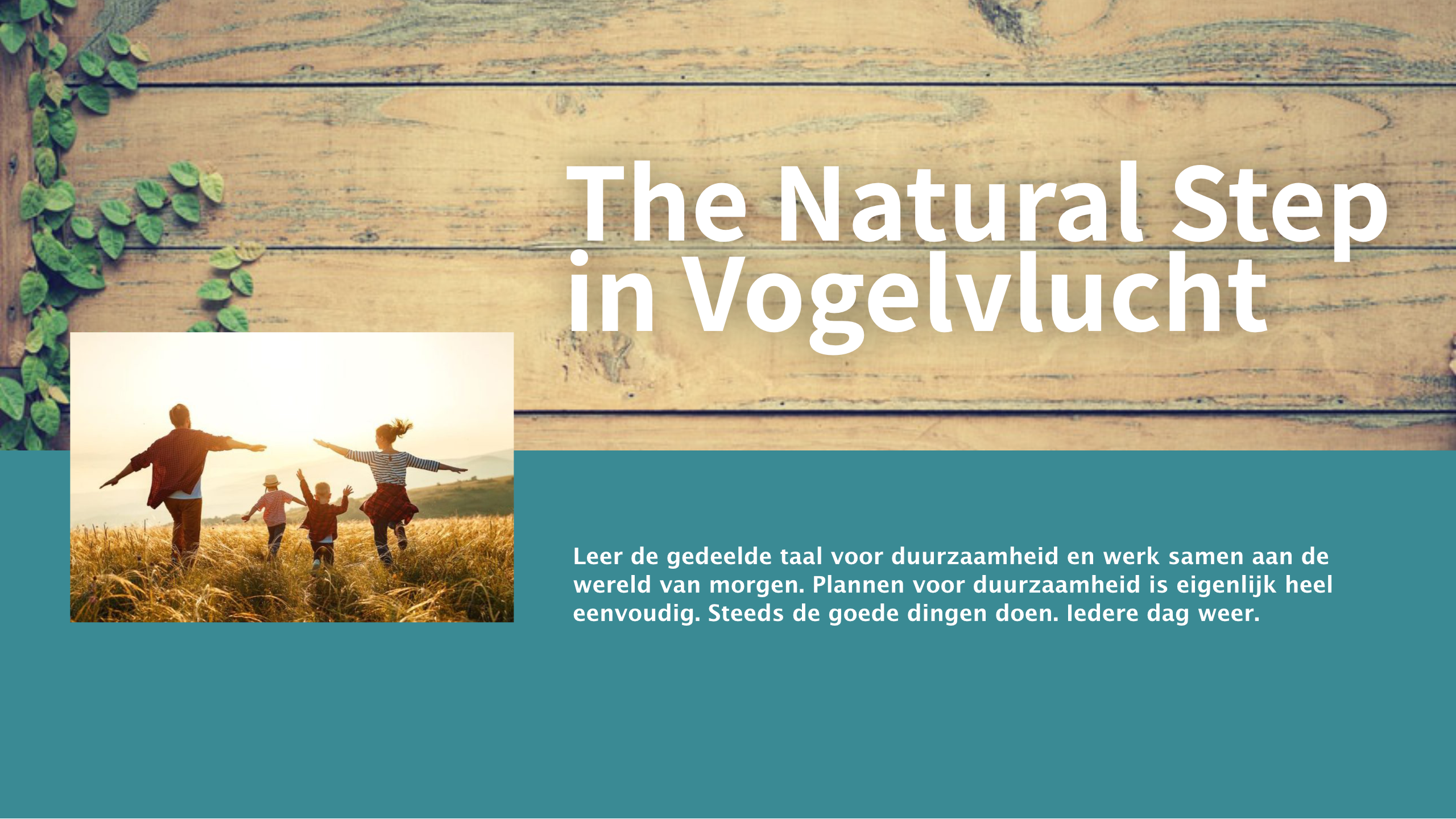 E-learning duurzaamheid Vogelvlucht The Natural Step