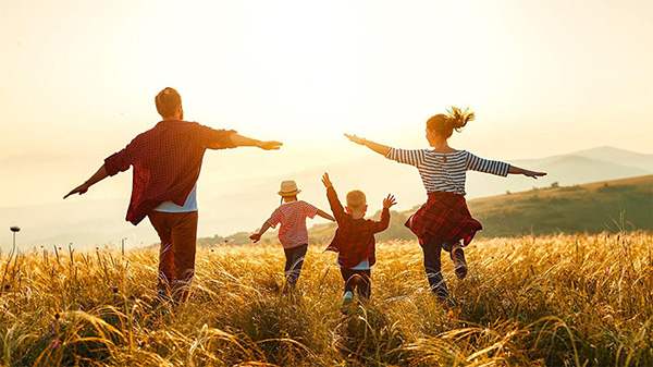 Duurzame opleidingen, E-learning duurzaamheid, The Natural Step